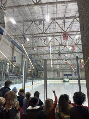 Rink and Seating Area