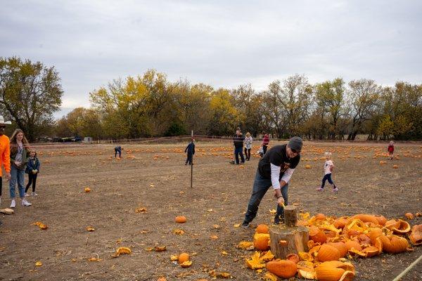 Pumpkin patch; pumpkin smashing, last weekend of patch season