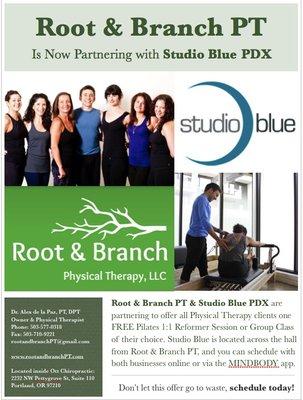 All Root & Branch clients receive their first class or 1:1 session at Studio Blue PDX for FREE. Studio Blue is located in the same building.