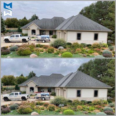 Black streaking algae treated on asphalt shingle roof without any harm to surrounding plants.