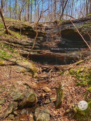 2nd of THREE waterfalls within Little Mulberry Park. Near a second viewing platform off the Ravine Trail... but not visible from platform.