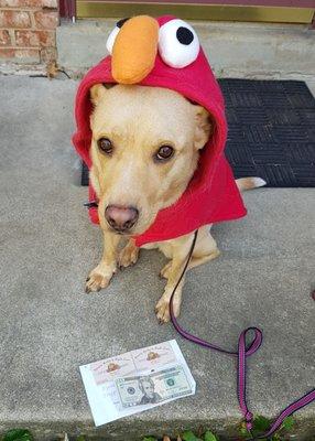 Kiwi in her handmade Elmo costume.