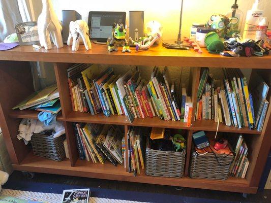 Organize (Book Shelf BEFORE)