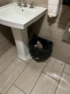 visible garbage, you can see other people's business i  there. dirty floor. hand dryer & paper towel dispenser was not working