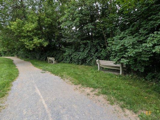 7/9/2023 - Look at these benches.