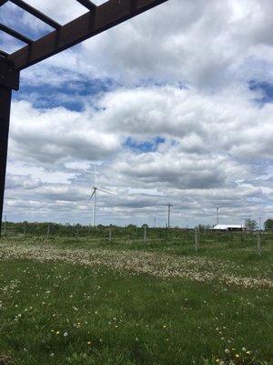 All the wind turbines and farmland