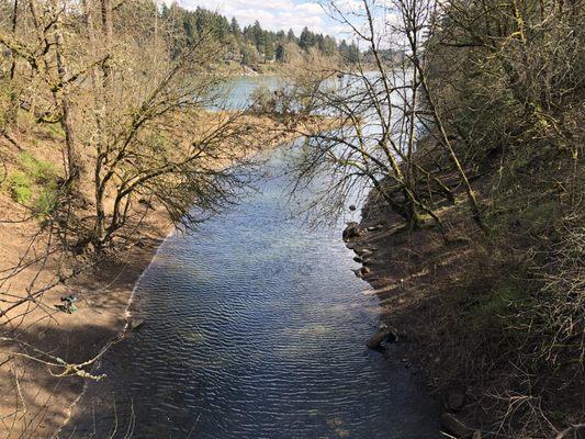 Sucker Creek meets the Willamette River.