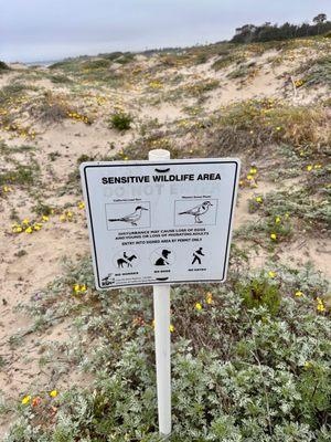 Sensitive Wildlife Area sign--walk only on wet sand