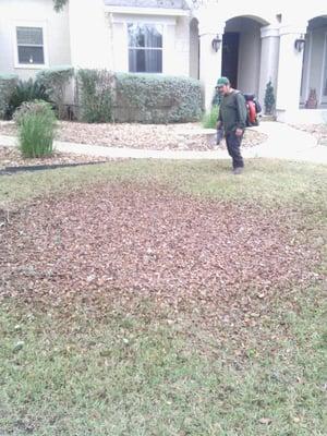 Lawn Maintenance in san antonio tx