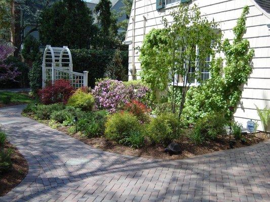 Landscape Plantings