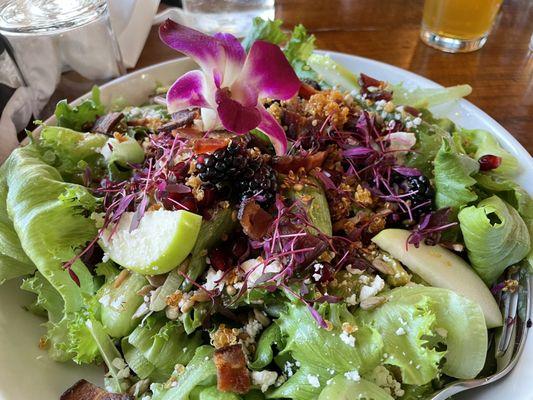 One of the best salads in the mrv right now. Winter salad with crisp quinoa .