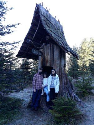 Cute tree stump for a family photo