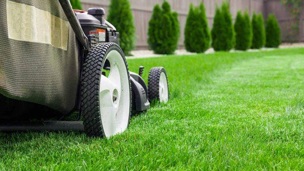 We're experienced in all types of landscaping, which include fertilizing, mulching, weed control, snow removal, and more.