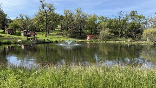 Pond area