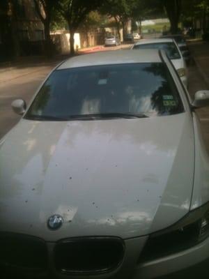 BMW after windshield installation