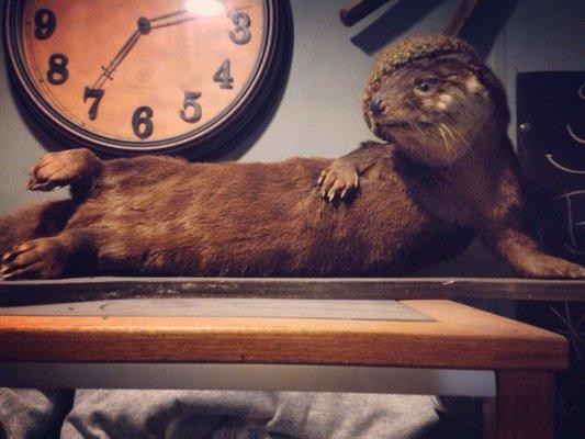 Such a provocative otter "Oh My!"