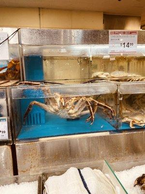 Seafood Area