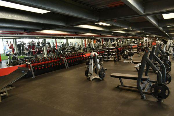 Dumbbells, bars and benches