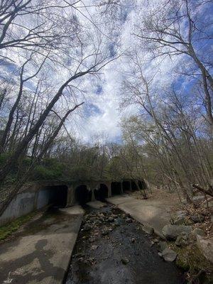 Trail near 42nd