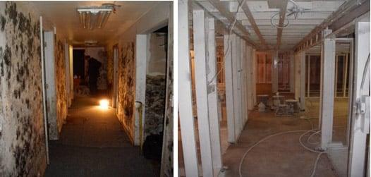 Removal of mold on drywall and framing. Hepa air scrubbers used on every project.