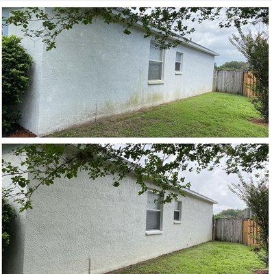 Mildew removal