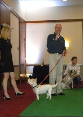 Dog Show, Alexandria