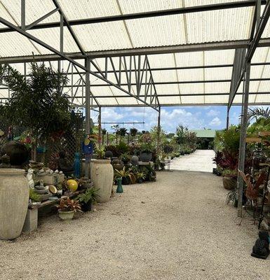 Under the roof at Golden Gate Nursery