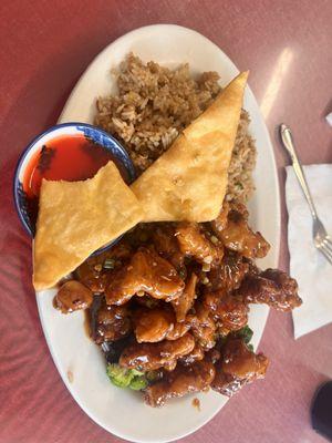 General Chicken lunch with fried rice