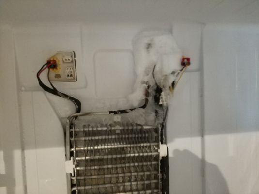 Freezed evaporator carefully defrosted, pipes re-insulated, then refrigerator blessed for the years of work.