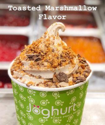 Toasted Marshmallow Non-fat Frozen Yogurt!!! So delicious and refreshing flavor.