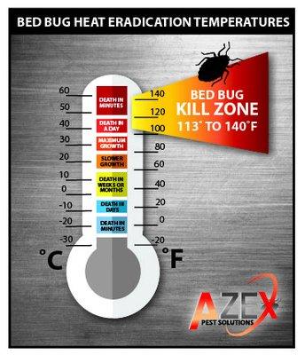 Azex Pest Solutions