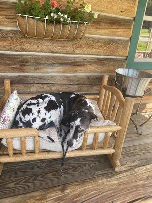 Dog bed on porch