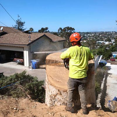 Green Compass Landscape And Maintenance