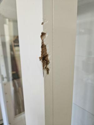 Smashed my cabinet