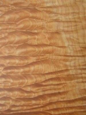 Quilted Western maple