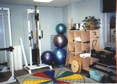 Private gym for Posture Fitness to relieve pain