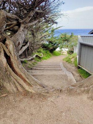 Ribera beach aka Middle Beach , Carmel CA  4/14/2021