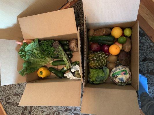 $29 organic produce box - delivered