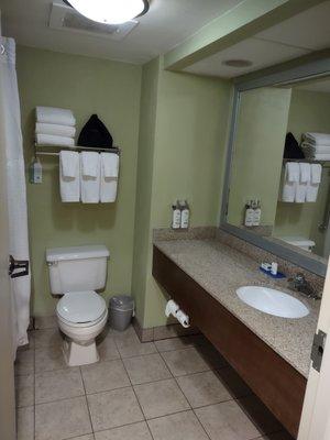 A well stocked bathroom