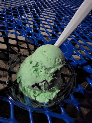 Mint chocolate chip