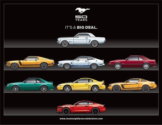 50 Years of the MUSTANG!