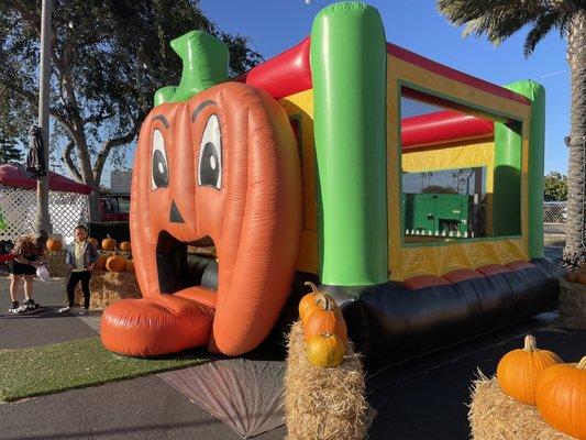 Pumpkin jumper