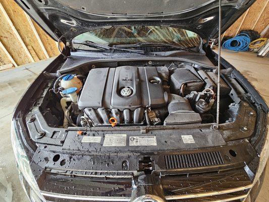 Engine Bay Cleaning.