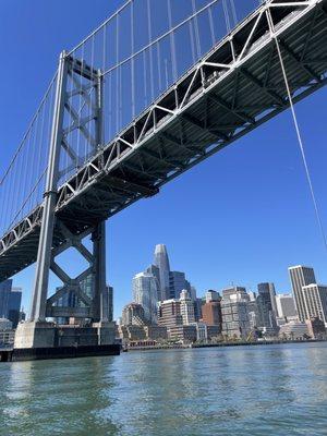 Spinnaker Sailing San Francisco