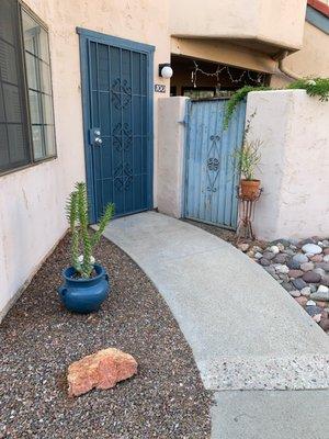 Old Pueblo Cactus