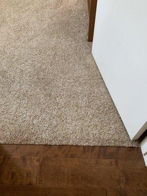 Pet friendly carpet "Snowdrift" - seamlessly fitted to existing hardwood.