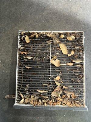 Dirty Cabin filter