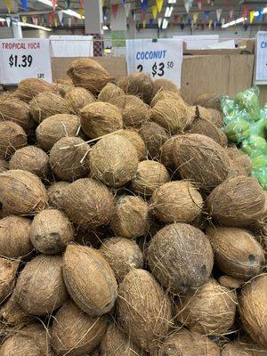 Coconuts