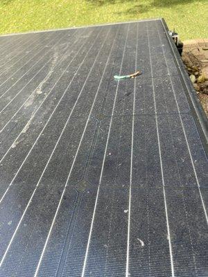 As solar panels sit stationary on the roof, debris, dust, and dirt will accumulate over time.