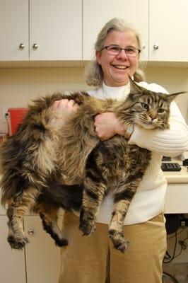 Dr. Wojcicki and big Bruno the 24# Maine Coon Cat